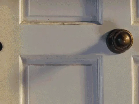 A woman opens a door and says 'Oh hi!' then sees a man holding a sign asking 'Do you need content?'