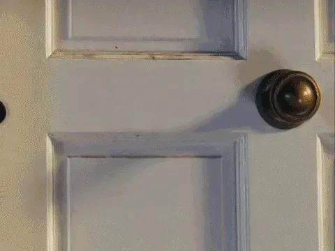 d1fb3a22-660f-e877-7fdb-380678c8b98e.gif A woman opens a door and says 'Oh hi!' then sees a man holding a sign asking 'Do you need content?'