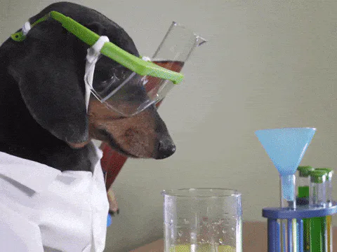 A dachshund wearing safety goggles and a lab coat pours liquid into a beaker at a mock chemistry set.