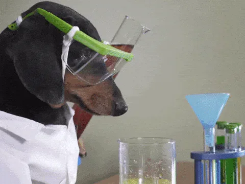 8982719d-96ff-d36a-0303-50a6c26b0008.gif A dachshund wearing safety goggles and a lab coat pours liquid into a beaker at a mock chemistry set.