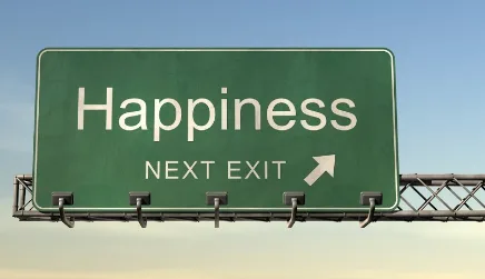 Screenshot+2024-08-06+102914.png A green highway sign reads 'Happiness, next exit' with an arrow pointing ahead.