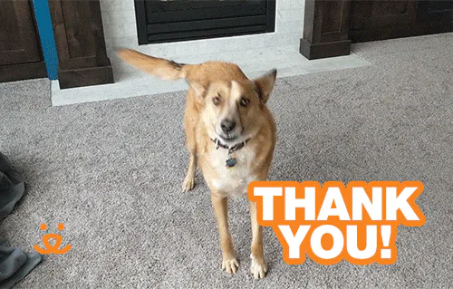 A tan dog wags its tail and hops around a carpeted room, captioned 'Thank you!'