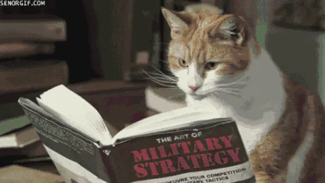 A cat appears to read a book titled 'The Art of Military Strategy.'