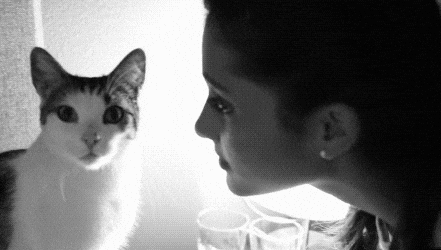 A cat and a woman stare nose to nose until she suddenly jerks back in surprise.