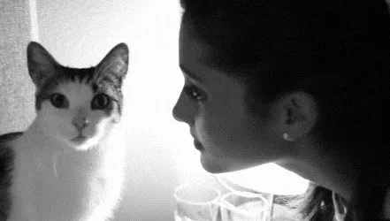 Kiss+Rejected+GIF.gif A cat and a woman stare nose to nose until she suddenly jerks back in surprise.