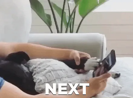 A person's hand holds a phone showing dating app photos, swiping past them, captioned 'Next,' with a dog resting nearby.