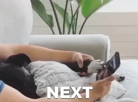 Swiping+No+Thank+You+GIF+by+I+Love+That+For+You.gif A person's hand holds a phone showing dating app photos, swiping past them, captioned 'Next,' with a dog resting nearby.
