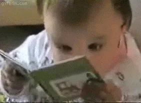 A baby holds a picture book close to its face, appearing to read intently.