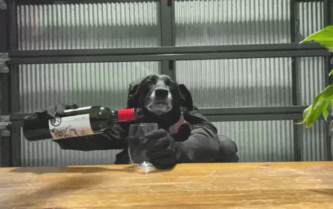 A dog wearing a hoodie pours wine from a bottle into a glass at a wooden bar.