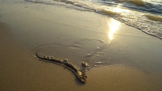 A heart shape drawn in wet sand on a beach catches the sunset's golden light.